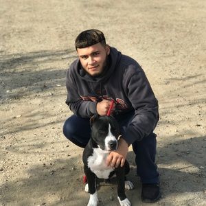 Meet your Posher, Giovannie